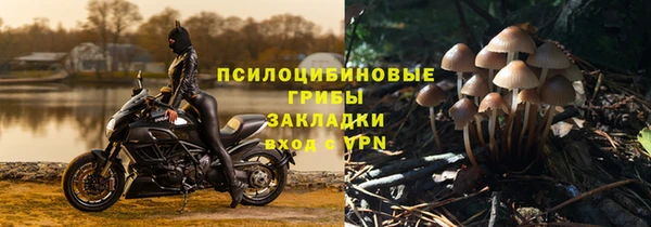 гидропоника Абдулино