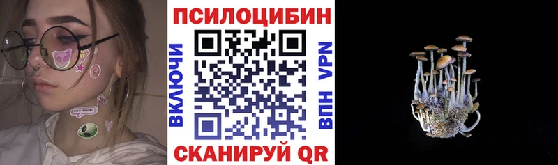 Галлюциногенные грибы ЛСД  ссылка на мегу ссылка  Александровск-Сахалинский  даркнет сайт 